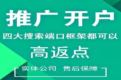 SEM推广策略：成功案例解析